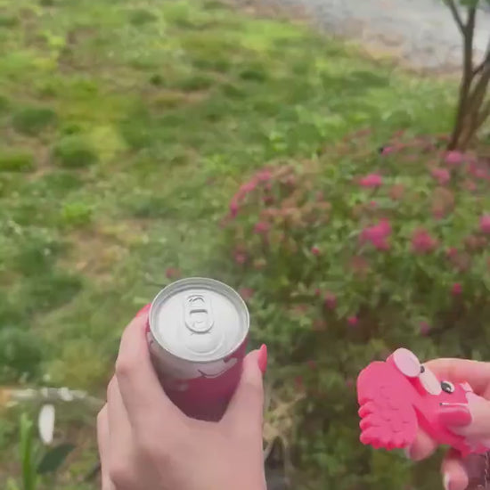 Flamingo Bubblegum